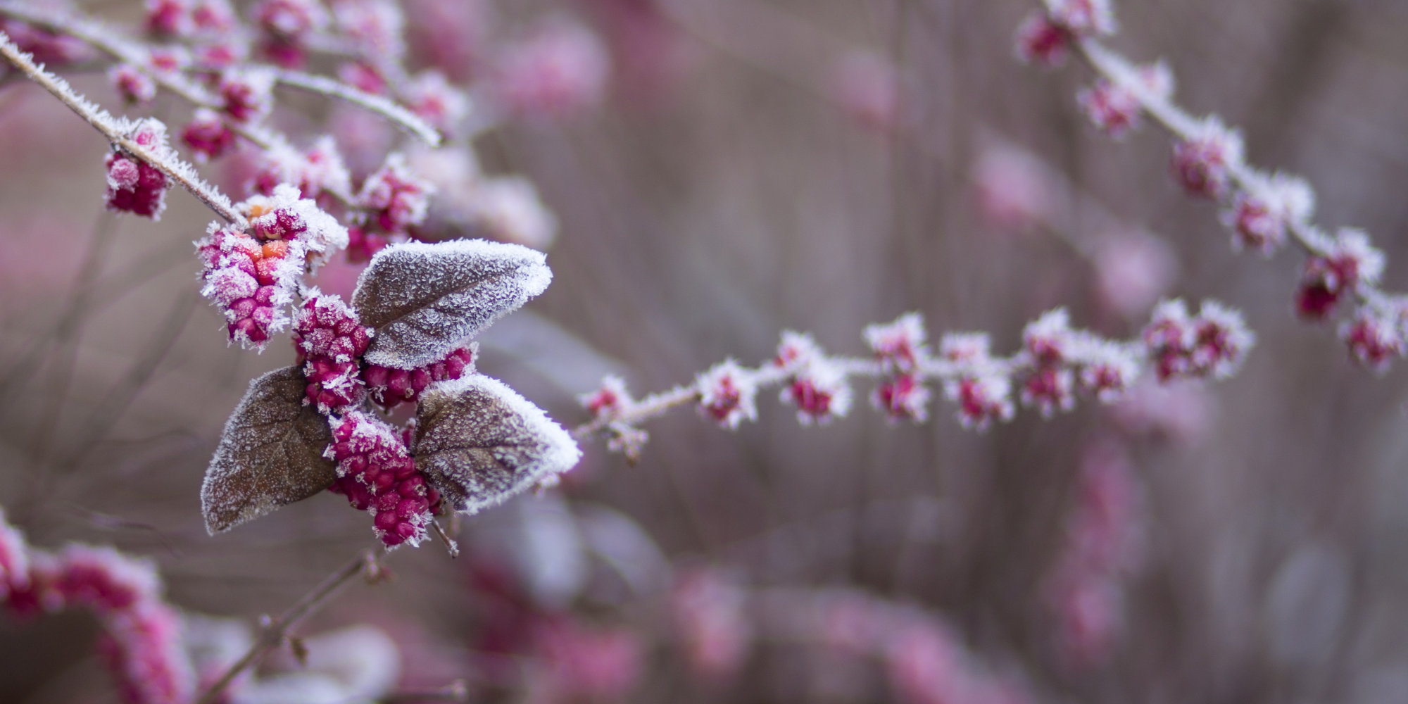 Challenging the Powers of Death with the Gospel of Life