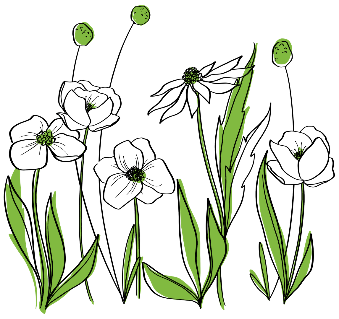 PeggyDeanxPassionLife-Impact-Final-Green-updated