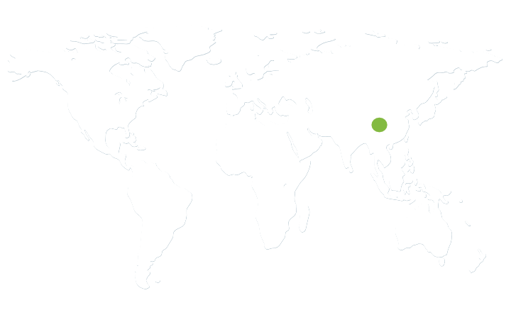 china v5