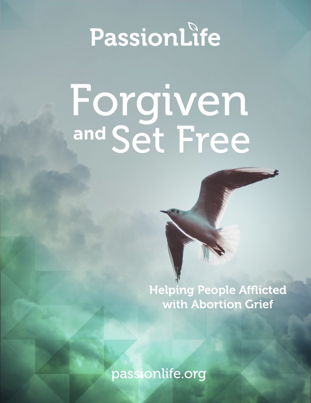 5. Forgiven and Set Free
