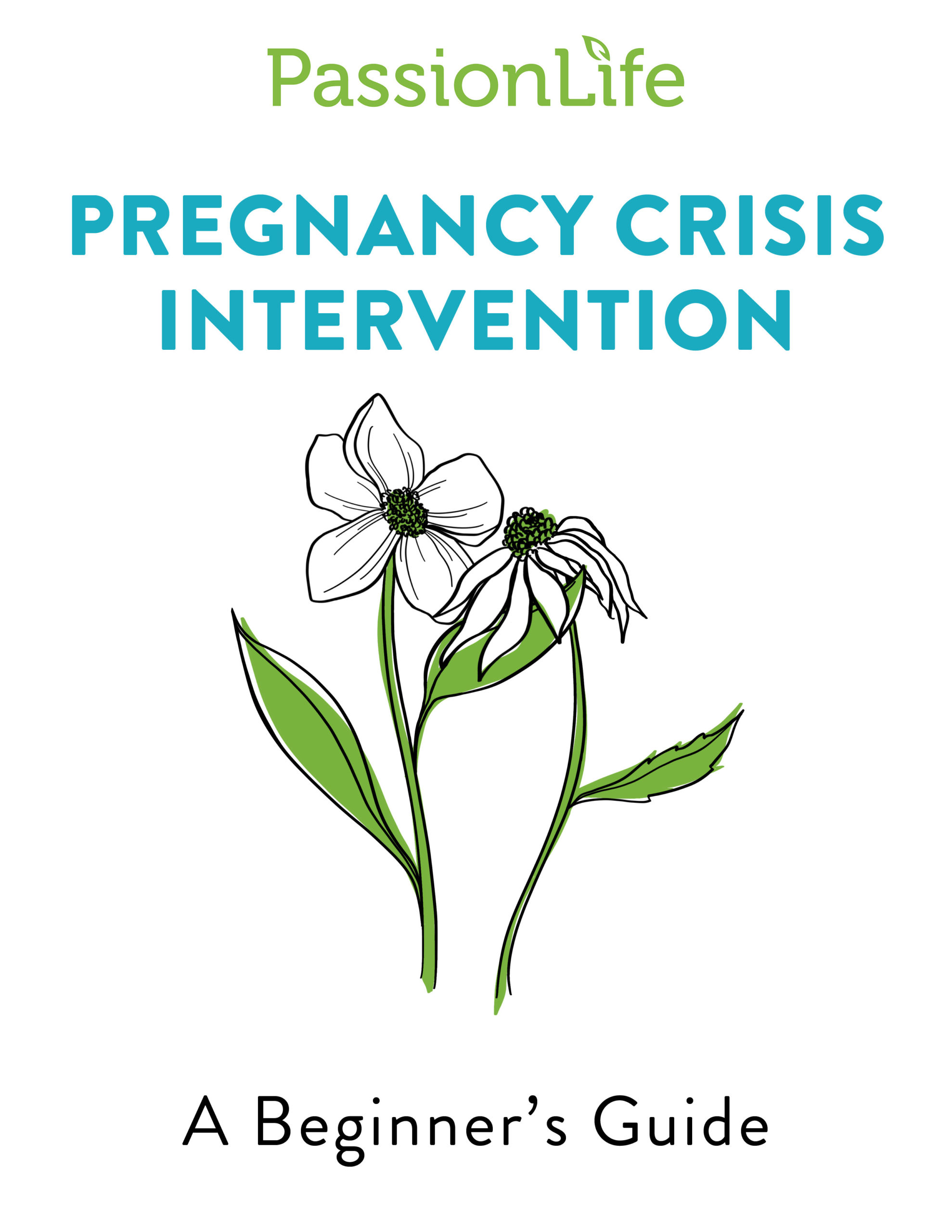6. Pregnancy Crisis Intervention For Beginners