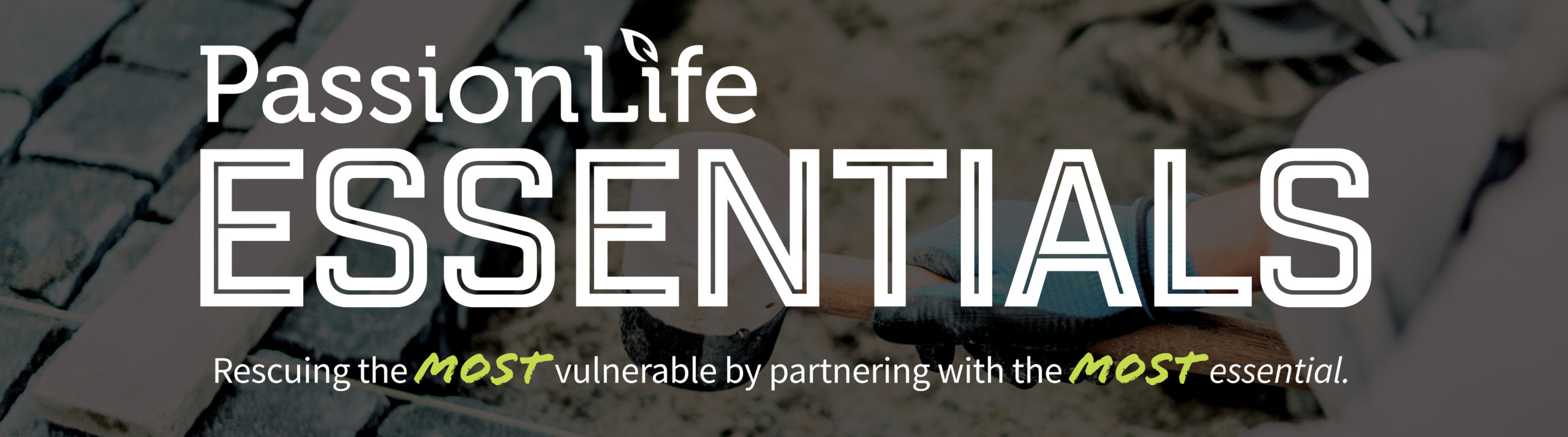 1 PassionLife Essentials Header4