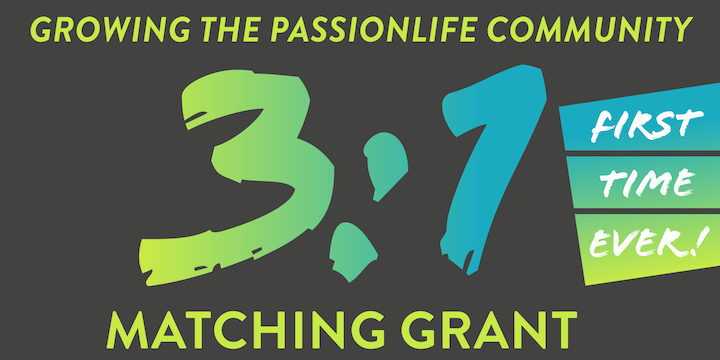 homepage-3-1-grant-promos-scaled
