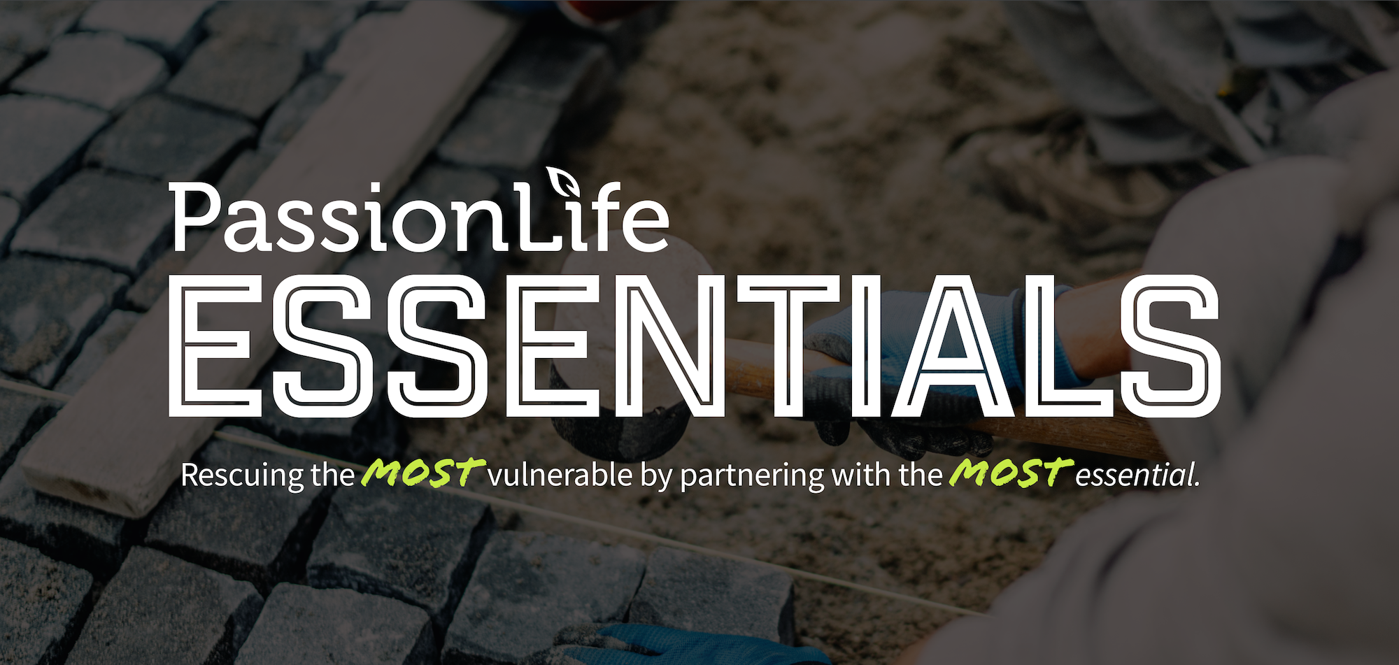 Essentials header 2