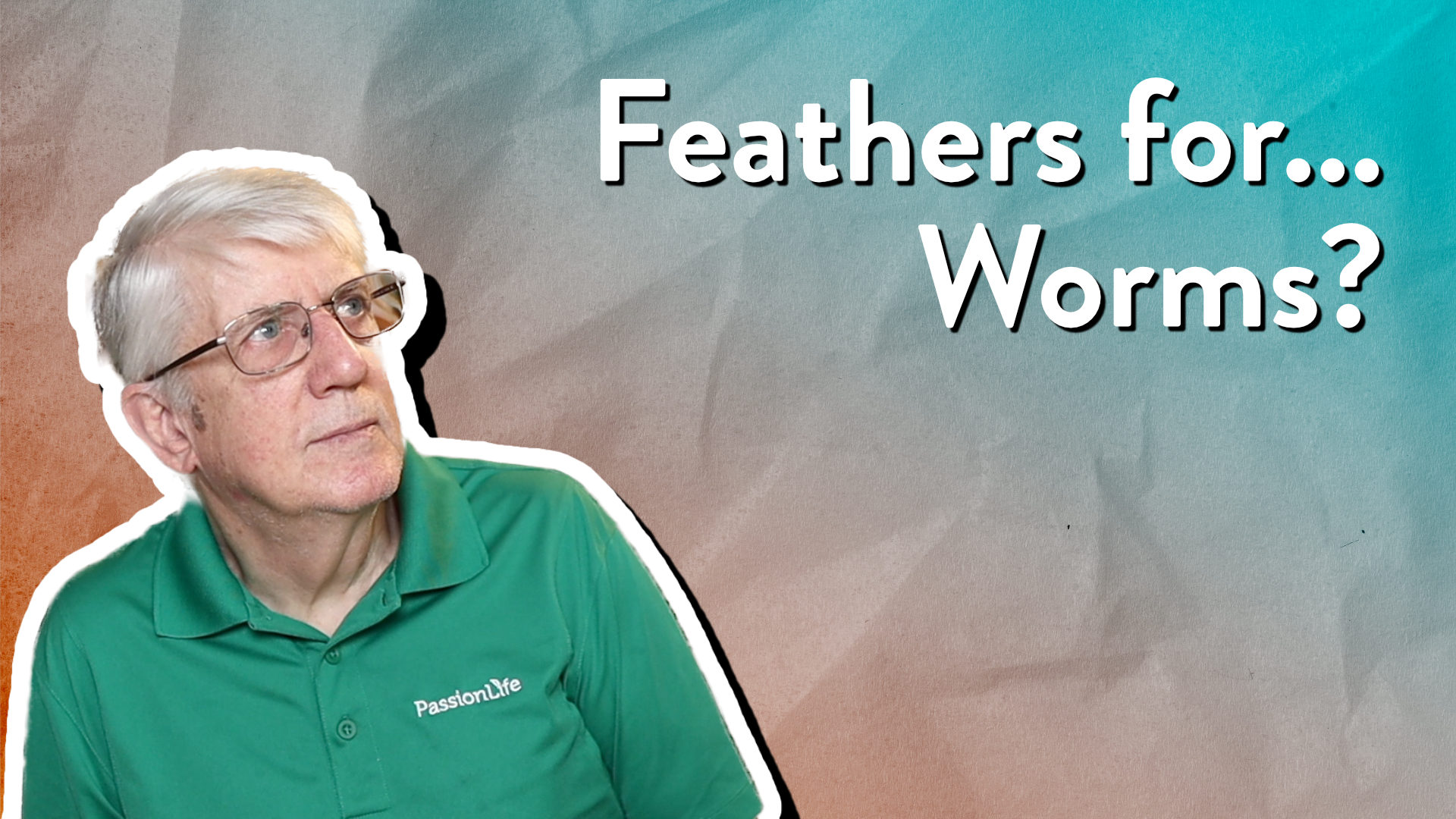 Feathers for Worms