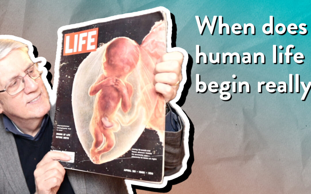 When does human life begin really?