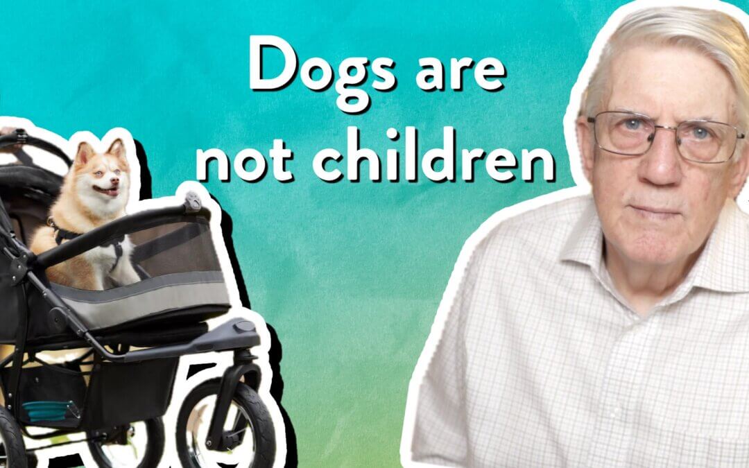 Dogs are not children