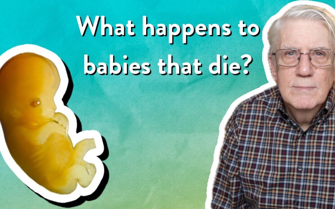 What happens to babies that die?