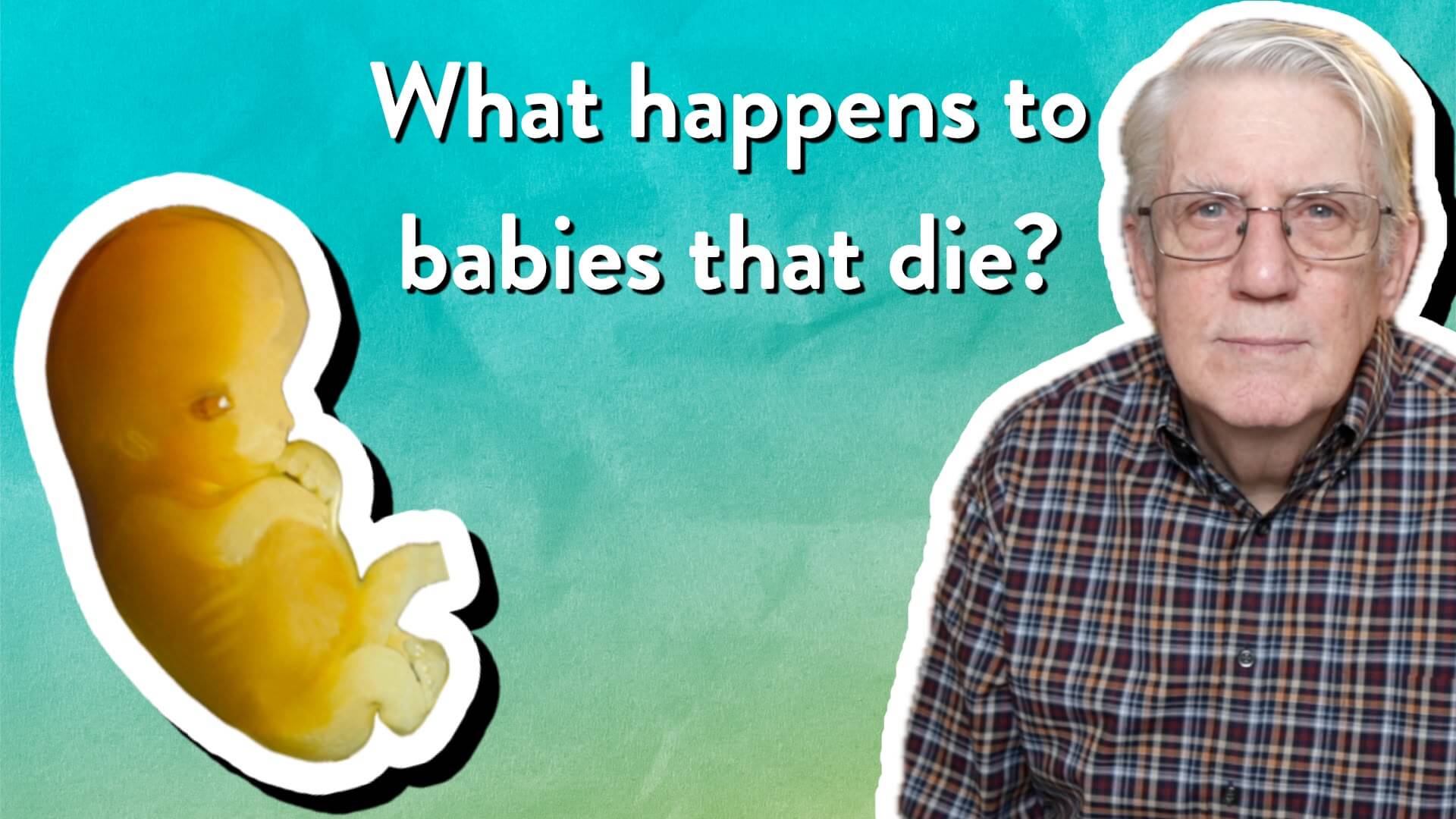 What happens to babies that die?