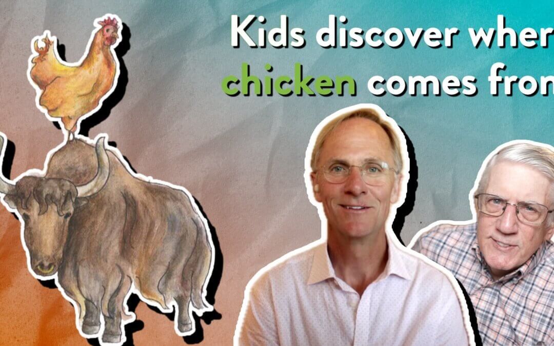 Kids discover where chicken comes from