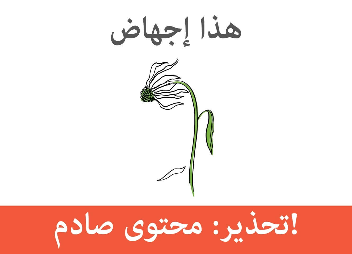 فيديو حياتك قبل الولادة