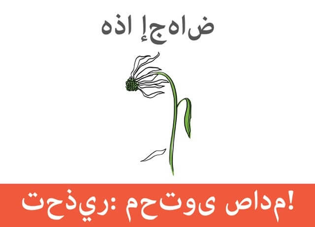 This is abortion – Arabic فيديو حياتك قبل الولادة